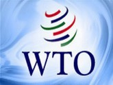 Грузия не собирается политизировать вступление России в ВТО. 