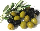 В Кахети будут выращивать оливки и гранаты. 16552.jpeg
