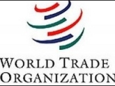 Россия и Грузия ищут компромиссы по вступлению РФ в ВТО?. 16600.jpeg